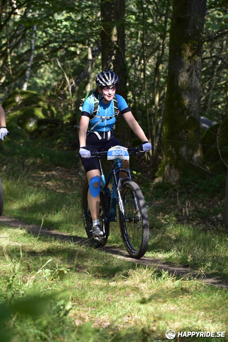 Bild från Bockstensturen 2019